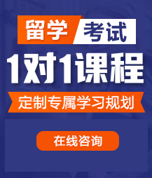 鸡巴好大插入视频在线免费观看视频留学考试一对一精品课